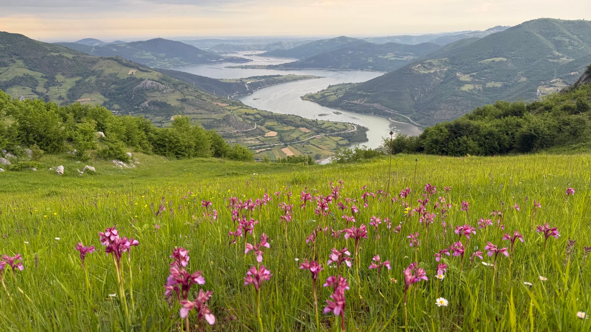 Pavasara upe un meža ainava